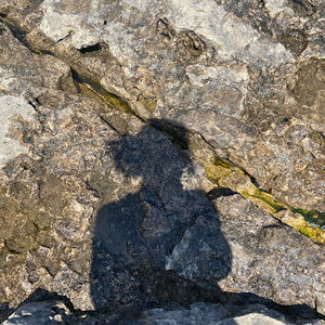 Meet your Posher, Mariska